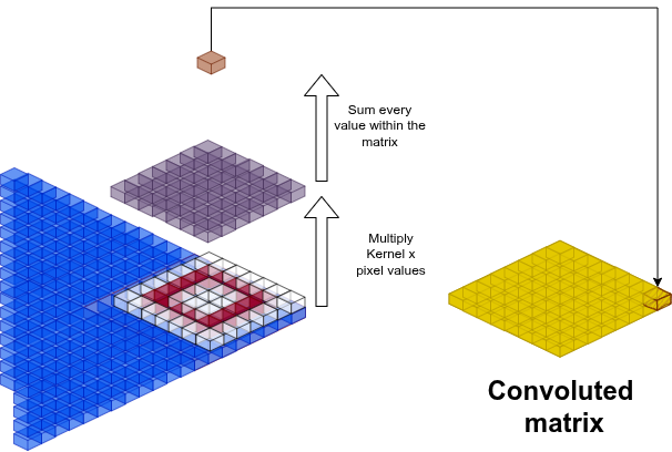 Convoluzione: il kernel scorre sulla griglia di pixel producendo una feature map