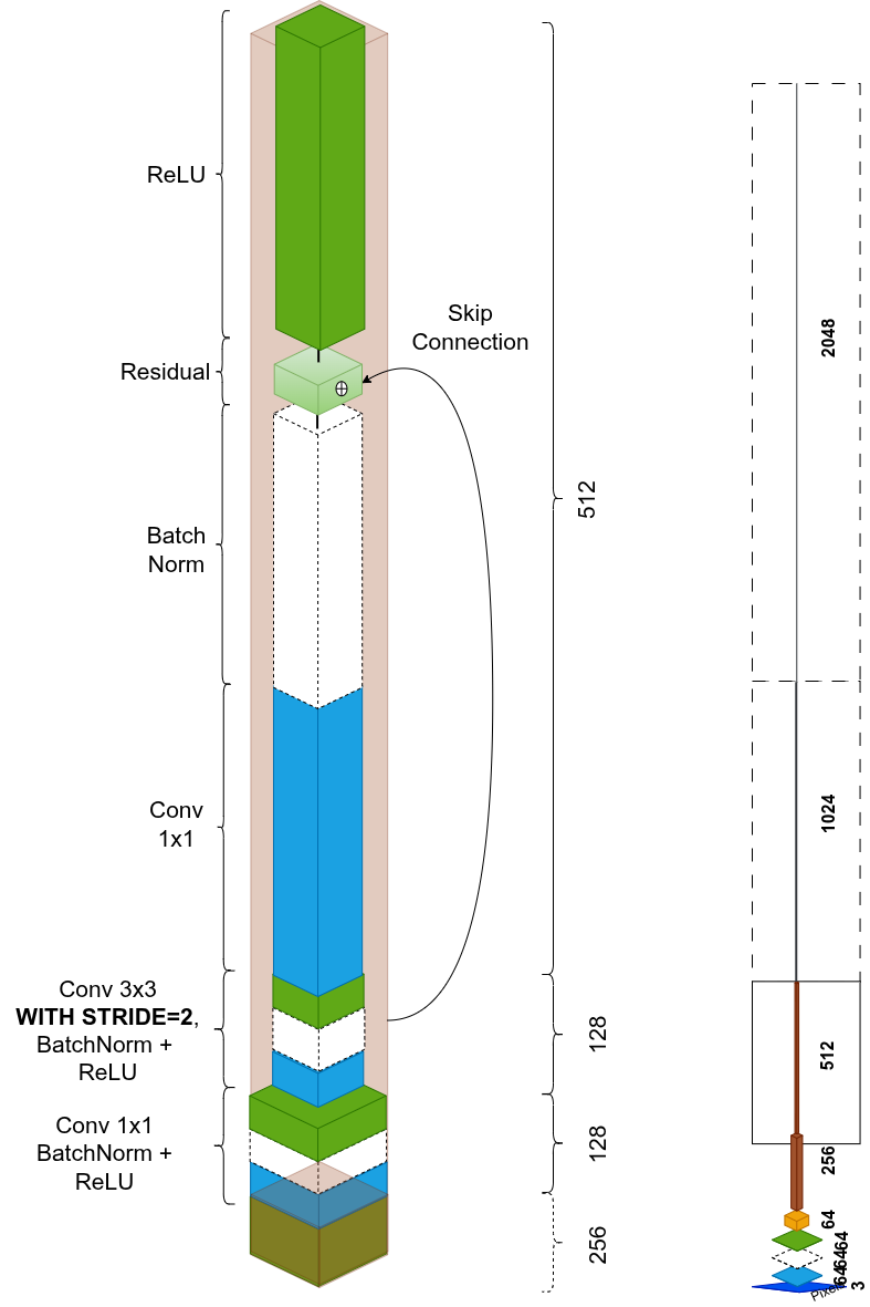 Stage bottleneck successivi: stride=2 sulla conv 3×3, canali crescono 256 → 512 → 1024 → 2048