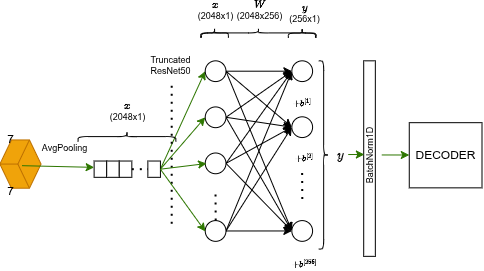 Stage di flattening: adaptive avg pooling → proiezione lineare 2048→256 → BatchNorm → vettore 256-d